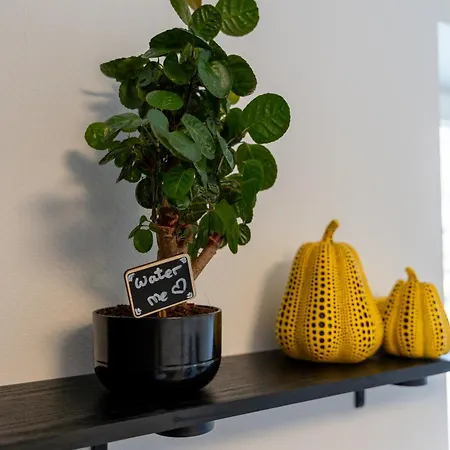 Holideis - Art-apartment - 3min To - Big Terrace * Monschau