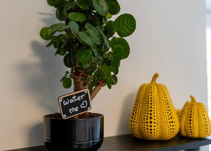 Holideis - Art-apartment - 3min To - Big Terrace * Monschau